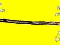 Культура русская Русские народные инструменты Русь мудра Калюка