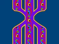 Алфавит, русский, Ж,