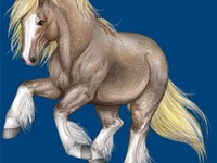 Лошади русских пород Лошадь Порода тяжеловоз