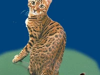 Порода Уссурийская